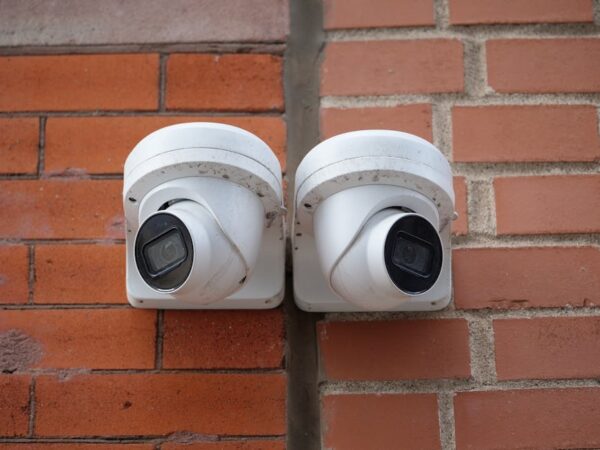 Harnessing the Power of AI Image Detectors for Enhanced Digital Security