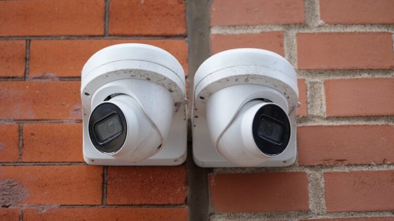 Harnessing the Power of AI Image Detectors for Enhanced Digital Security