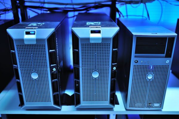The Evolution and Impact of Web Services in the Digital Age