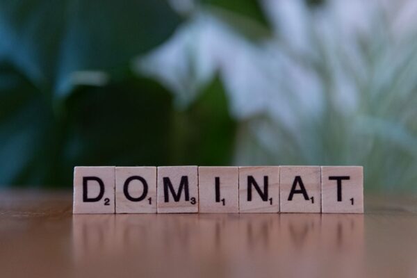 Understanding Domain Authority: A Key Metric for SEO Success