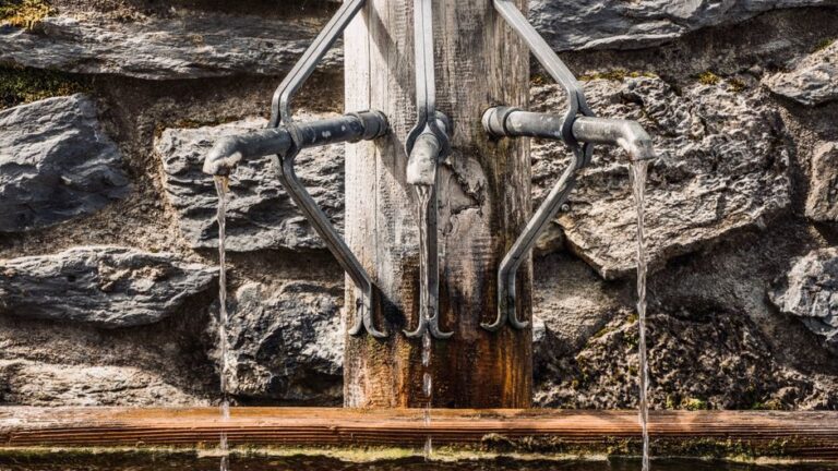 Essential Guide to Septic Tank Cleaning