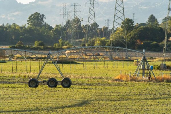 The Essential Guide to Efficient Irrigation Systems