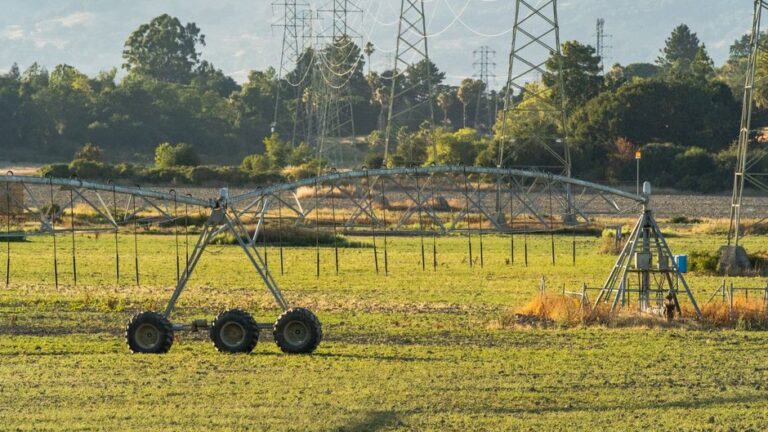 The Essential Guide to Efficient Irrigation Systems