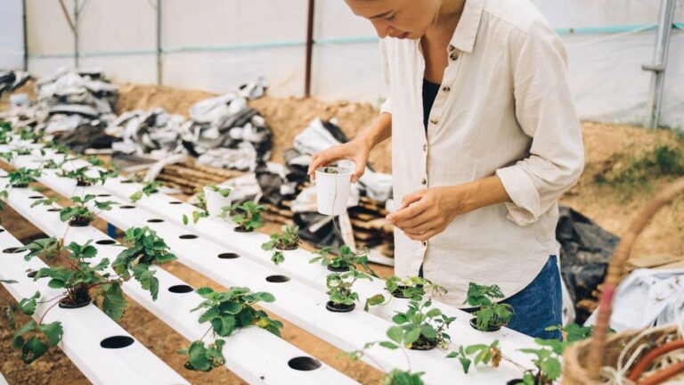 Unlocking the Potential of Aquaponics Kits for Sustainable Gardening