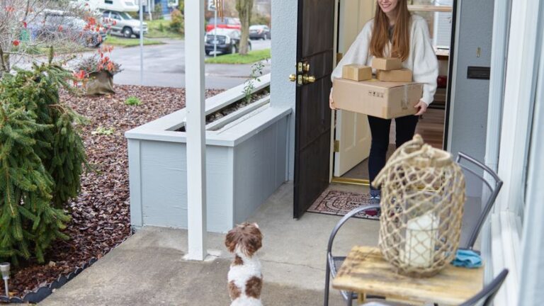 The Rise of Raw Dog Food Delivery Services