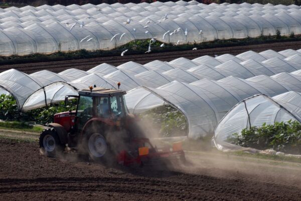 Essential Equipment for Successful Greenhouse Gardening