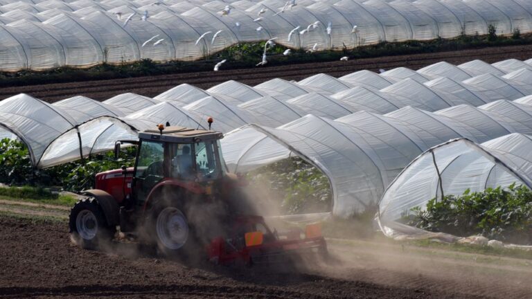 Essential Equipment for Successful Greenhouse Gardening