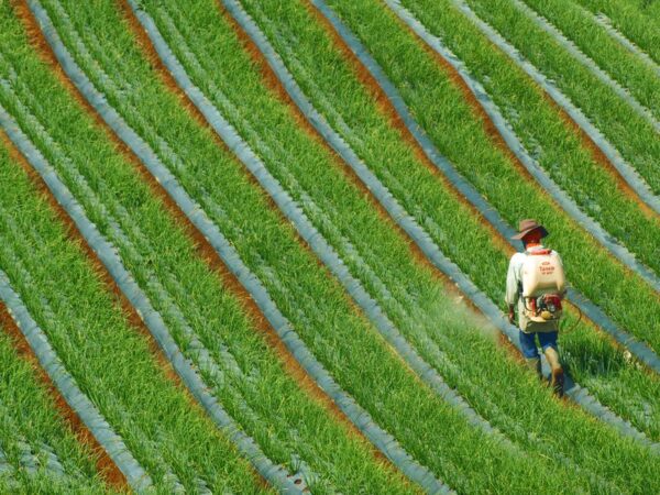 Understanding Crop Insurance: A Safety Net for Farmers
