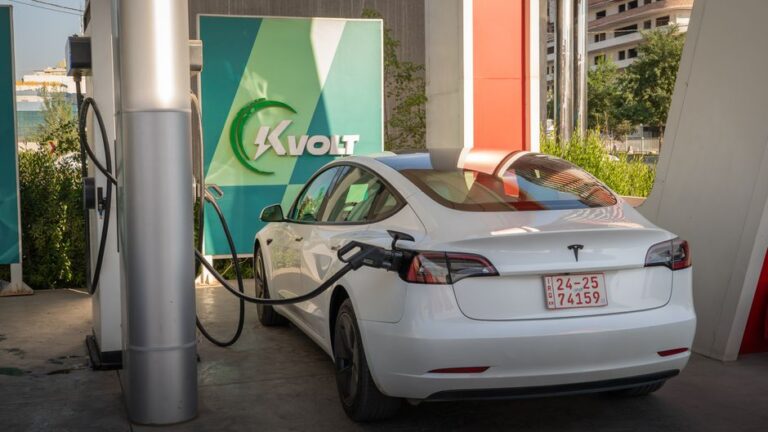 Understanding the Role of EV Battery Suppliers in the Electric Vehicle Market