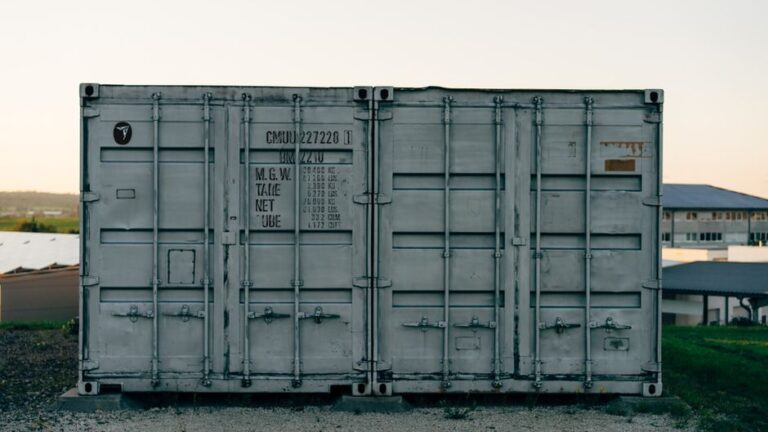 Unlocking the Future: The Role of Energy Storage Systems