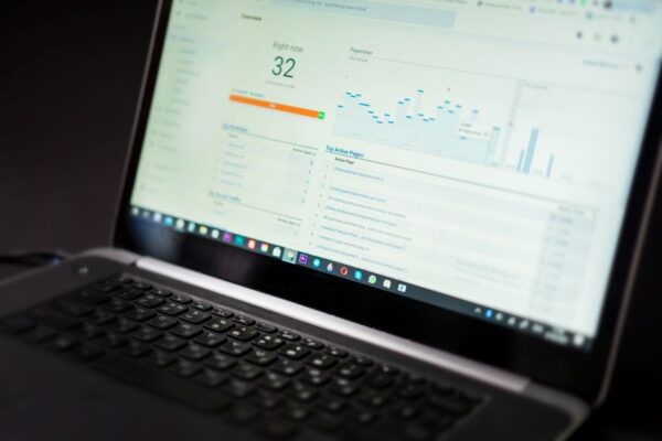 Unlocking Business Potential with Data Analytics Software