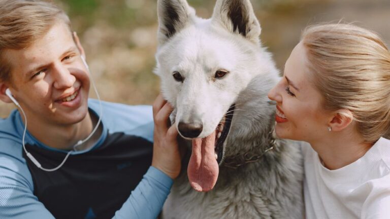 ペット保険を比較して、愛犬・愛猫を守る方法