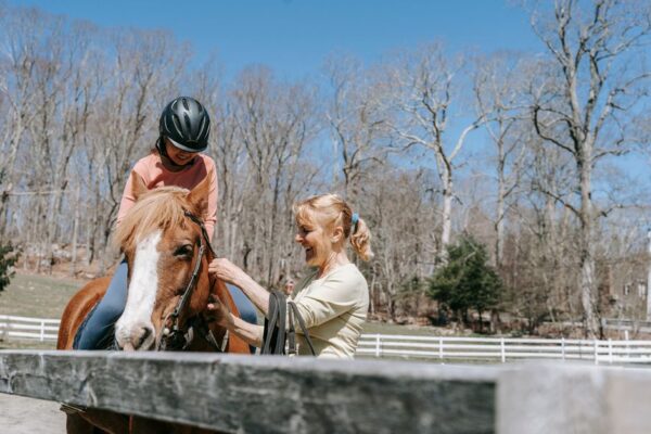 Discover the Joy of Horse Riding Lessons