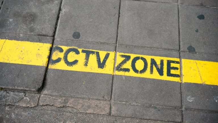 Understanding the Role of Private Security Companies in Today’s Society