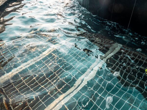 The Ultimate Guide to Pool Cleaning: Tips and Techniques
