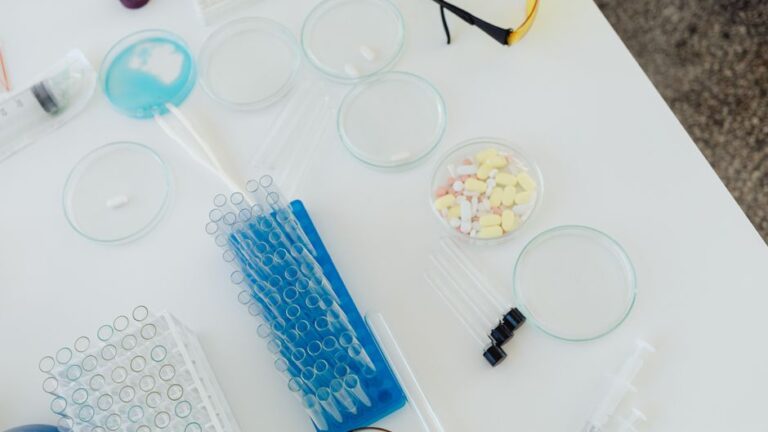 The Importance of Drug Testing Services in the Workplace