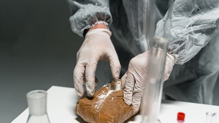 Understanding the Importance of Drug Testing Services