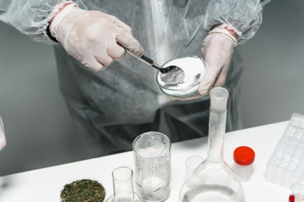 Understanding the Importance of Drug Testing Services