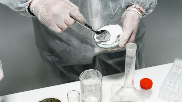 Understanding the Importance of Drug Testing Services