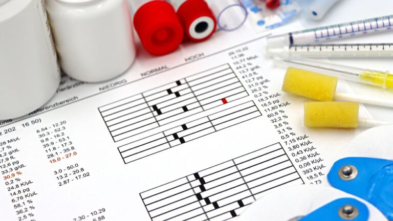 Understanding the Importance of Drug Testing Services
