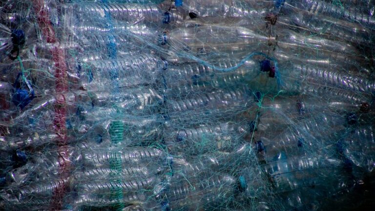 The Future of Plastic Recycling: Innovations and Opportunities